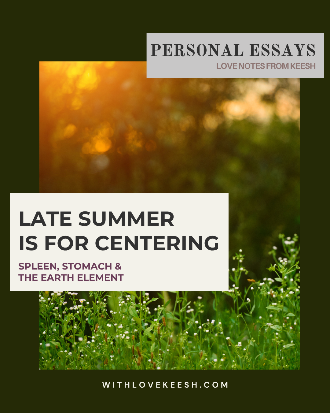 Late Summer is for Centering: Spleen, Stomach & the Earth Element